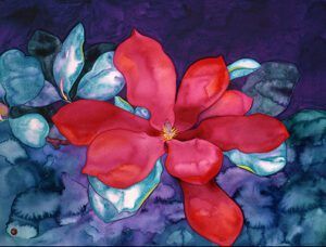 Fuchsia Magnolia Cards