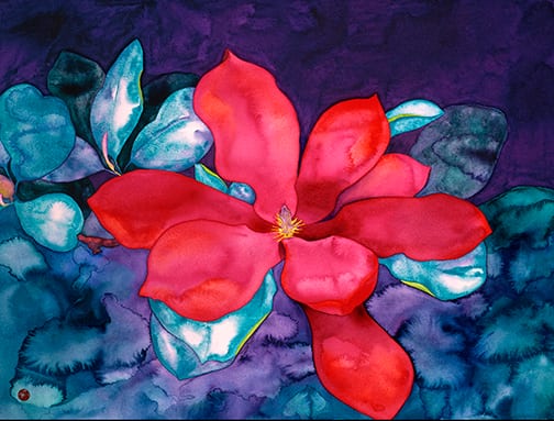 Fuchsia Magnolia Cards