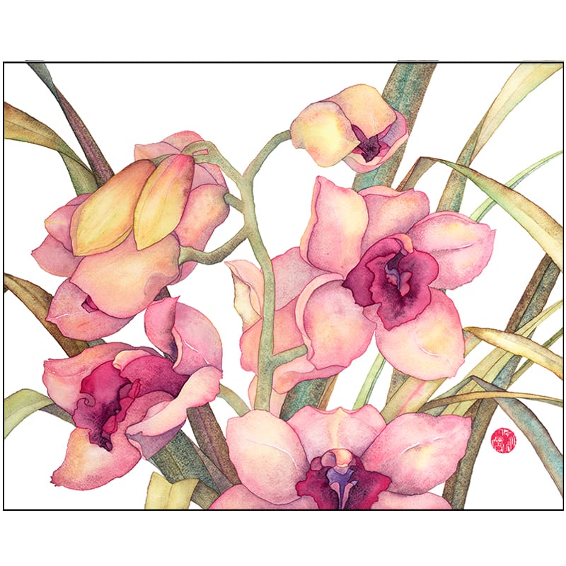 Castaway Cymbidium Ltd. Ed. Print (15 x 20)