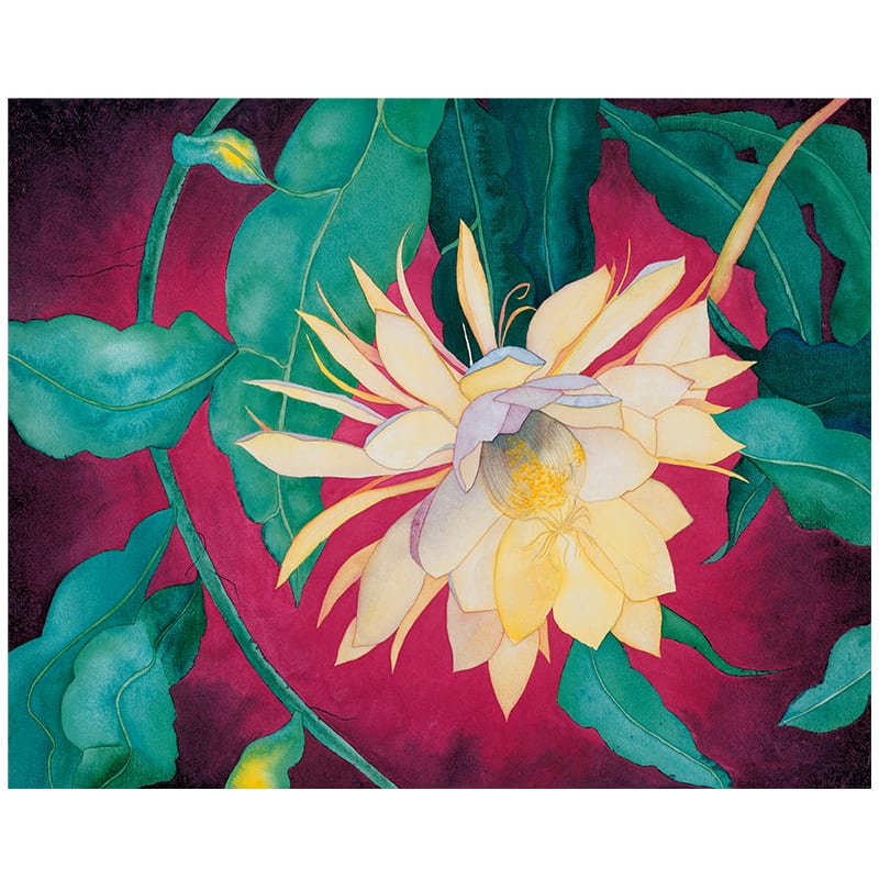 Heliconia Ltd. Ed. Print - Image 2