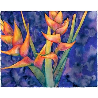 Heliconia Ltd. Ed. Print