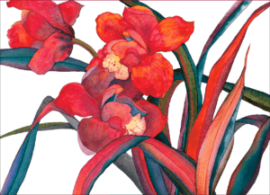 Deluxe Cymbidium Holiday Postcards