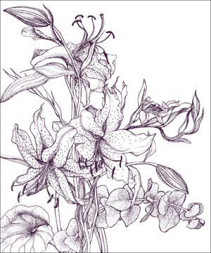 Stargazer Lilies Gift Wrap