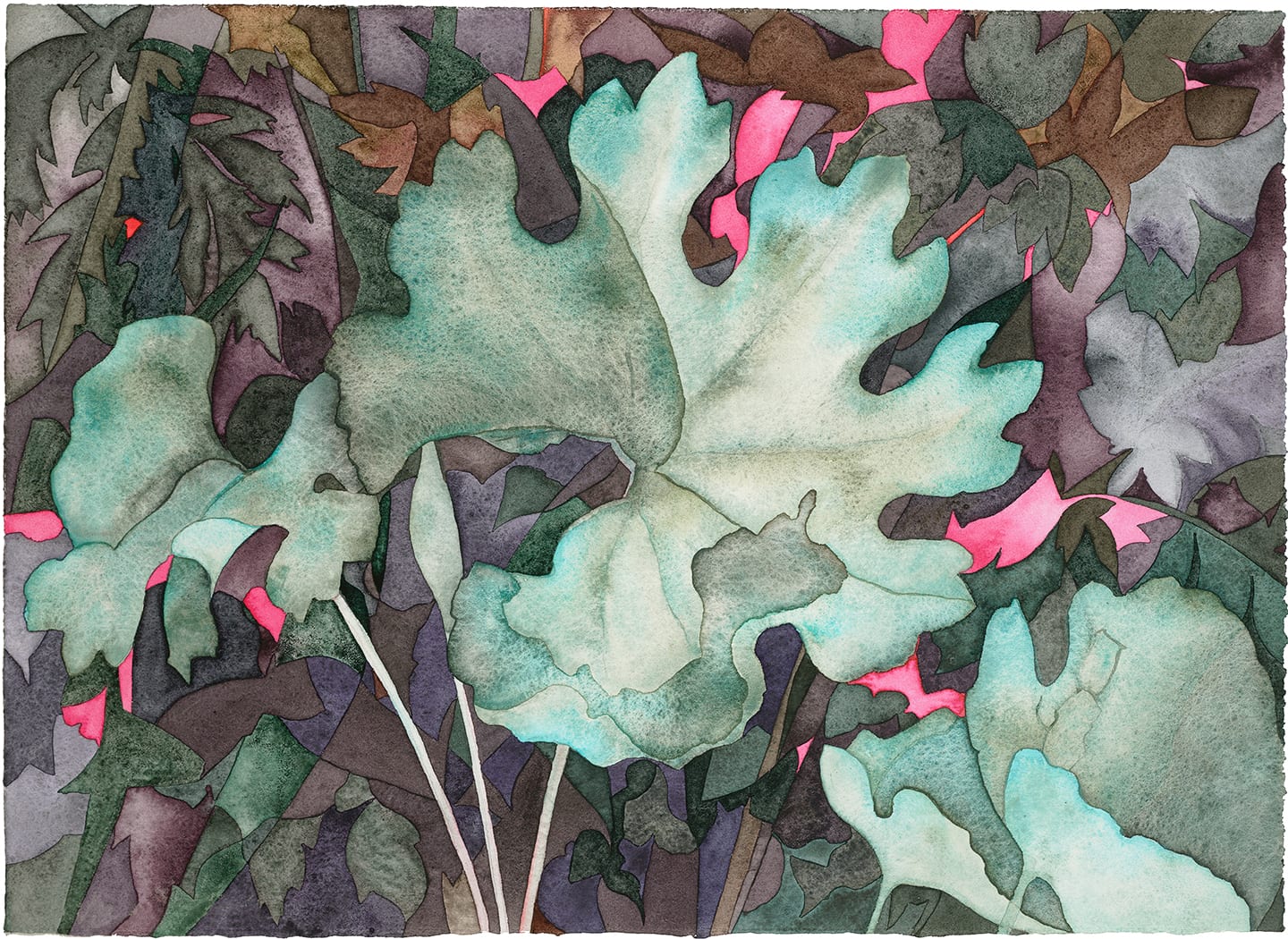 Cymbidium Ltd. Ed. Print 6