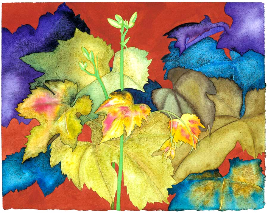 Grape Vine Leafing Out Ltd. Ed. Print - Image 2