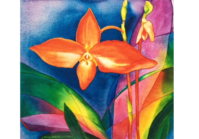 Heliconia Ltd. Ed. Print - Image 6