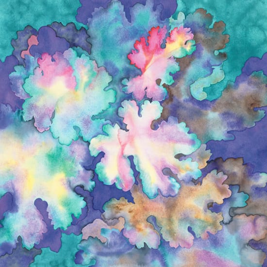 Plume Poppy Ltd. Ed. Print