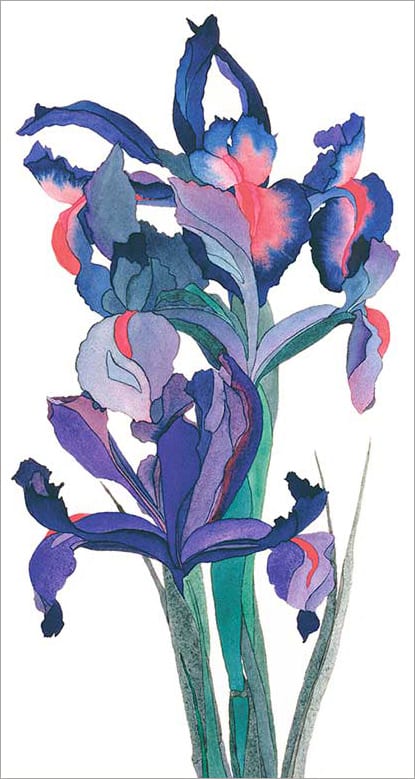 Vernal Equinox Irises Ltd. Ed. Print