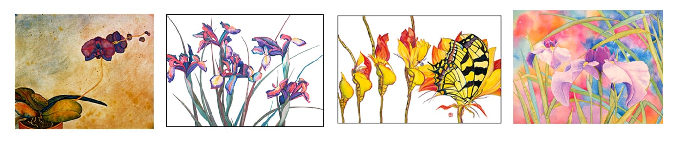 New Card Sample Pack (plus a little something) - a limited time offer