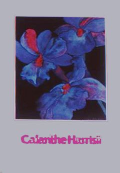 Calanthe Harrisii Poster
