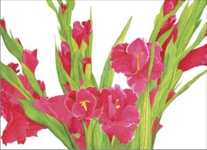 A Watercolor of a spray of deep rose gladiolas with bright green foliage