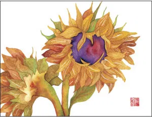 Watercolor of two sunflowers