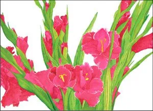 Gladiolas Note Cards