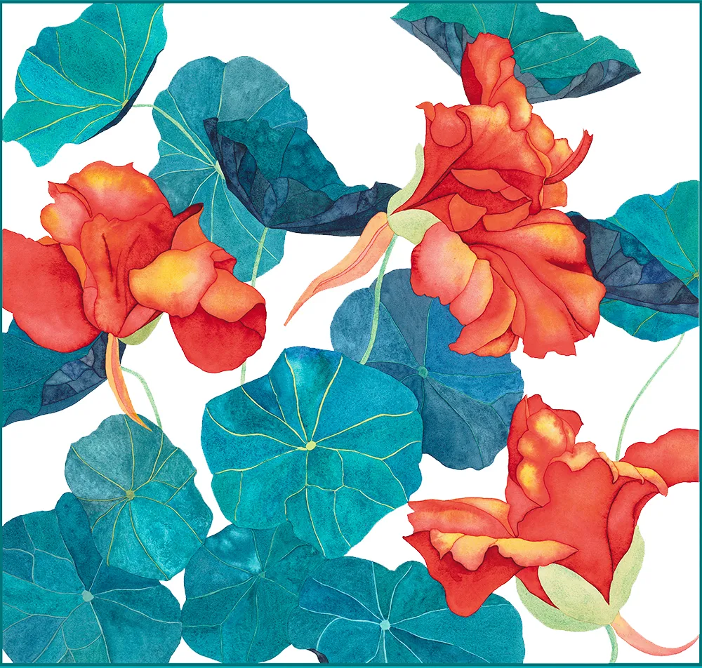 3 reddish orange Nasturtioums with turquoise leaves