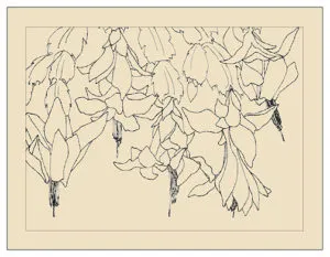 CLEARANCE: Xygocactus Holiday Cards