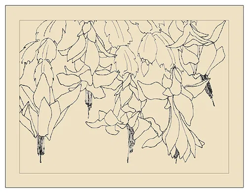 CLEARANCE: Xygocactus Holiday Cards