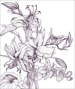 Stargazer Lilies Gift Wrap