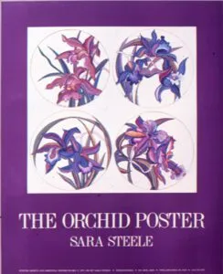 Orchid Poster